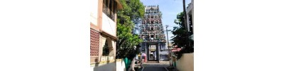 நங்கநல்லூர்